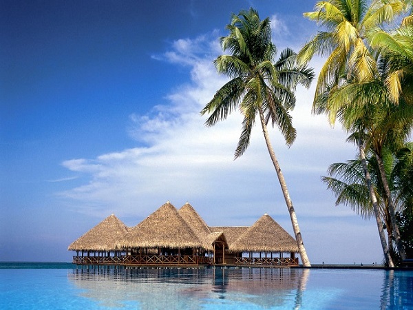 Trip Package